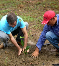 Pflanzen der ersten Maracuja in Itacoatiara