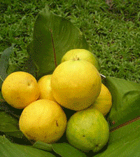 Araza fruits